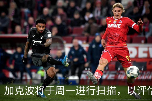 加克波将于周一进行扫描，以评估脚踝伤势