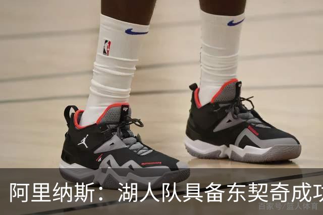 阿里纳斯：湖人队具备东契奇成功所需的一切要素